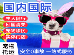 天水麦积山航空空运国际宠物托运 【国